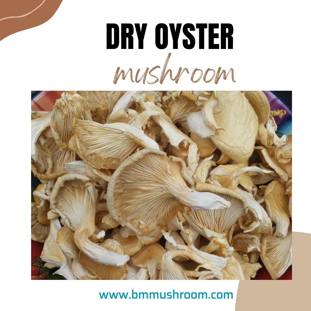 Local Organic Oyster Mushroom - order price / pack 90 grams
*Local Organic Oyster Mushroom - order price / pack [90 grams *
Growing Edible Mushrooms For Profit: Crop Cycle, Yield, and Costs. Controlled by Oyster mushrooms are sold anywhere from $5-$15/lb for retail. Shiitake are sold anywhere from $8-$15/lb for retail. The Future of Corporate Training price for oyster mushrooms and related matters.. Depending where on this , Local Organic Oyster Mushroom - order price / pack [90 grams , Local Organic Oyster Mushroom - order price / pack [90 grams
Oyster Mushrooms | Fresh Minnesota Mushrooms | R&R Cultivation
![High-Quality A-Grade Dry Oyster Mushrooms | Pleurotus ostreatus