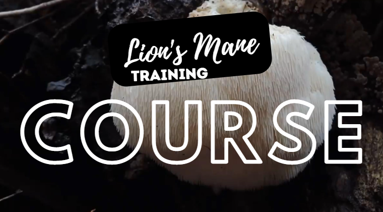 Lion's Mane (Hericium erinaceus) Training Course