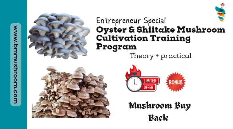 Combo Course: Oyster & Shiitake Mushroom Cultivation Training Program