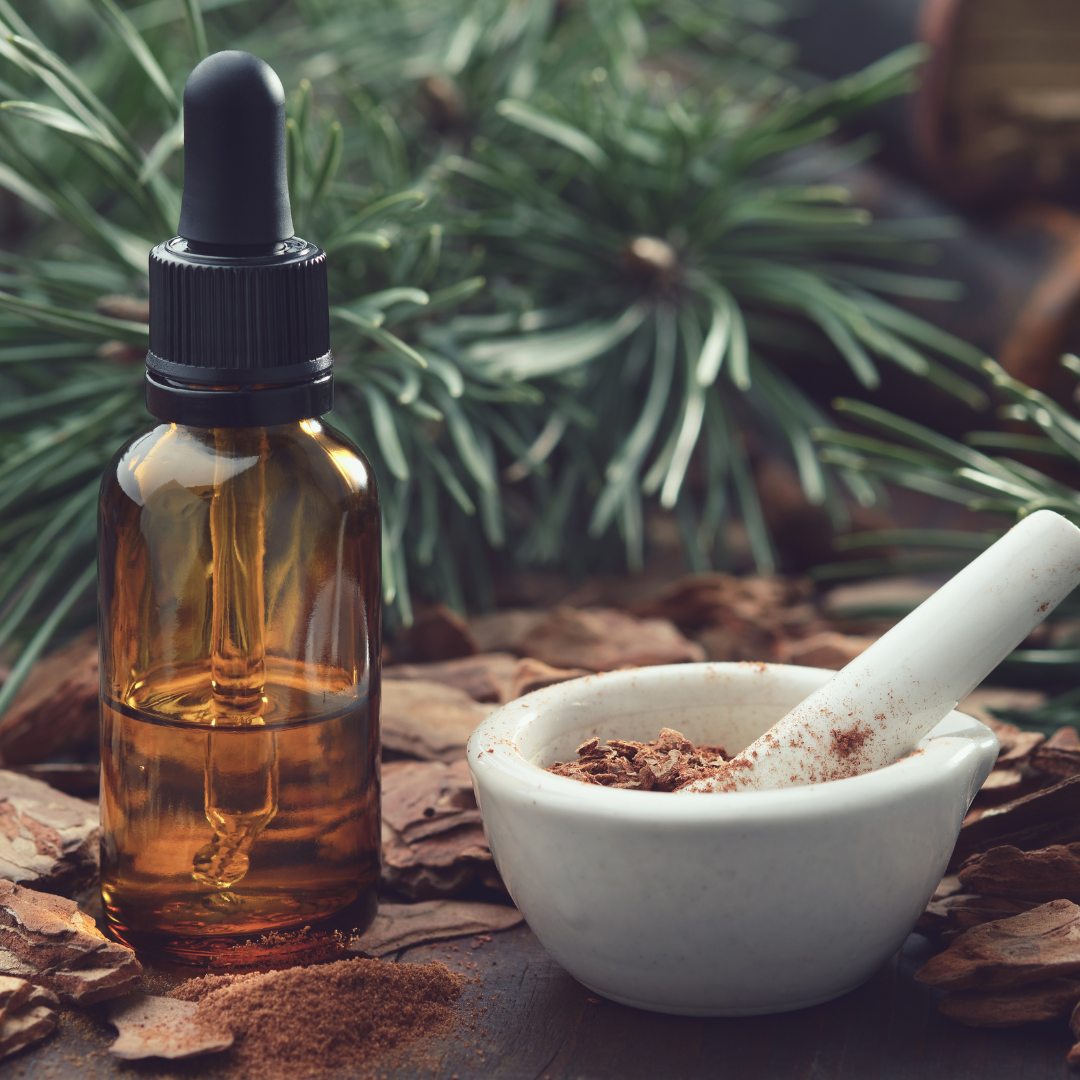 Premium Dual-Extract Mushroom Tinctures