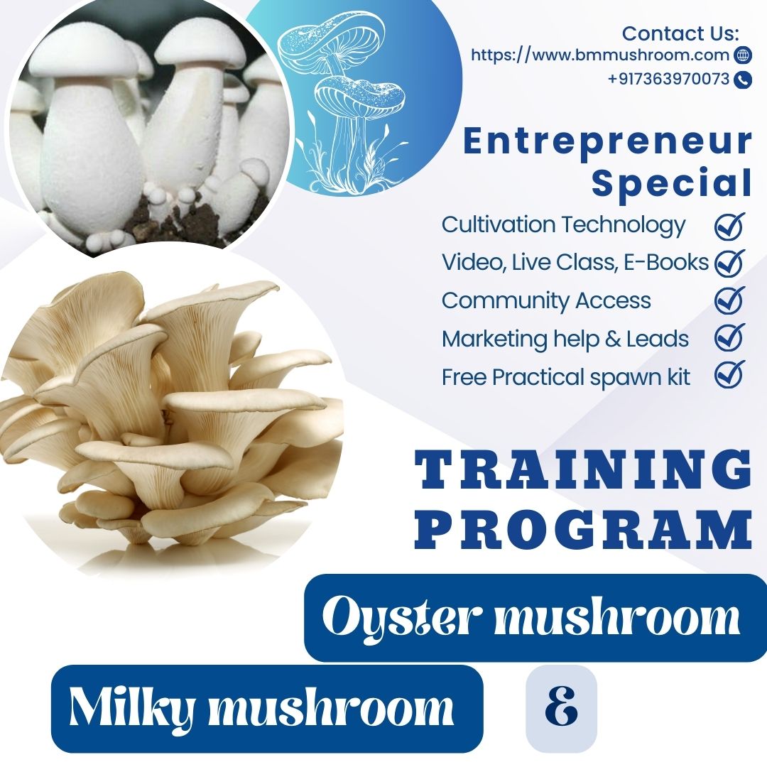 Combo Course Oyster & Milky Mushroom Cultivation Training Program