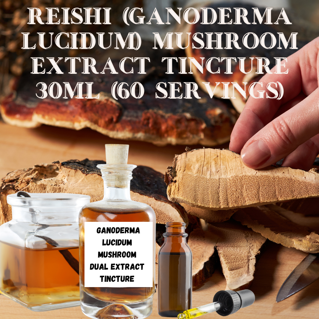 Reishi (Ganoderma Lucidum) Mushroom Extract Tincture, Promotes Relaxation & Immune Support, 30ml Bottle, 60 Servings, Natural Wellness Supplement, Single Pack