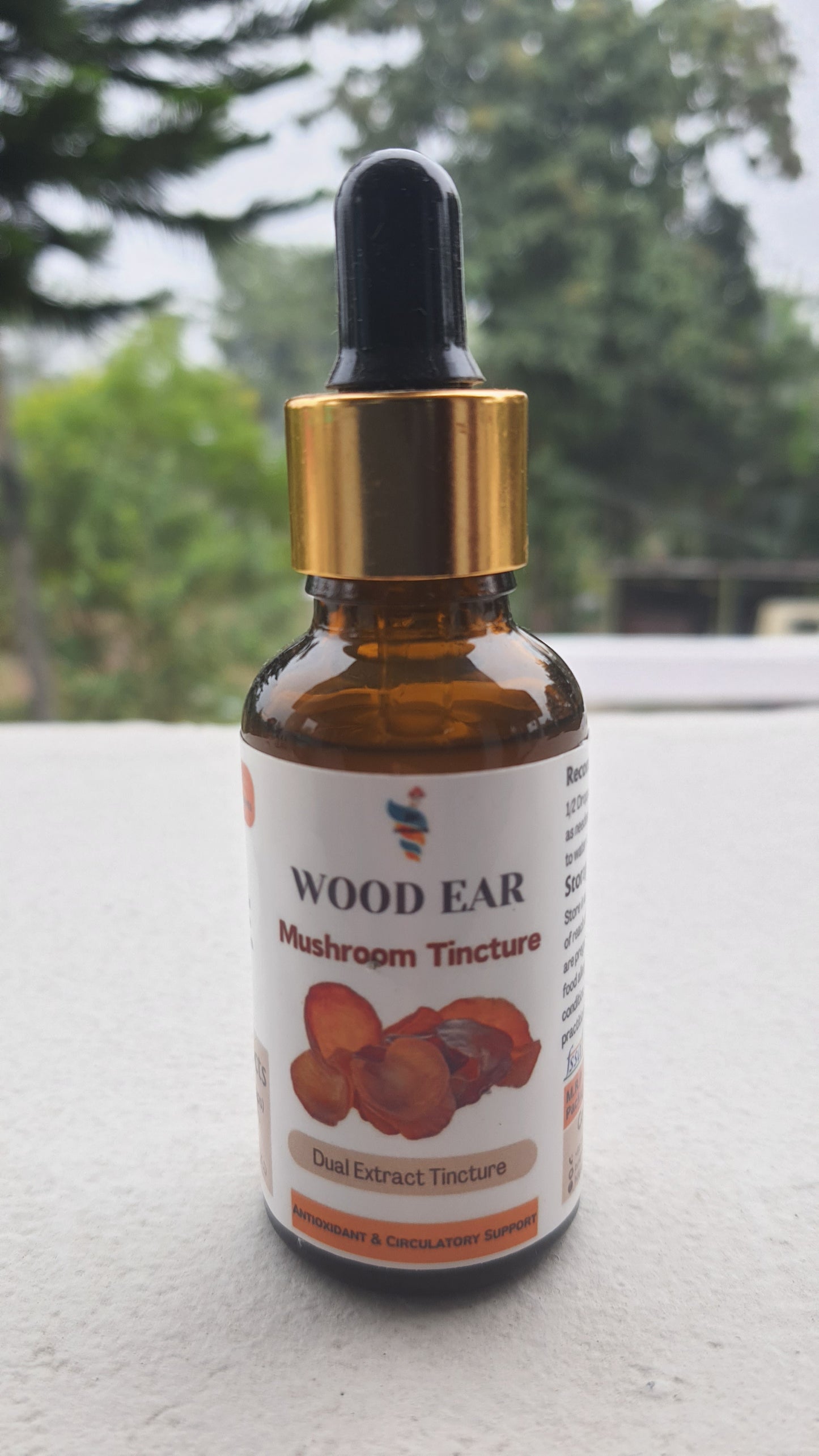 Wood Ear (Auricularia) Mushroom Extract Tincture, Supports Circulatory & Digestive Health, 30ml Bottle, 60 Servings, Natural Aid for Blood Flow and Gut Wellness, Single Pack