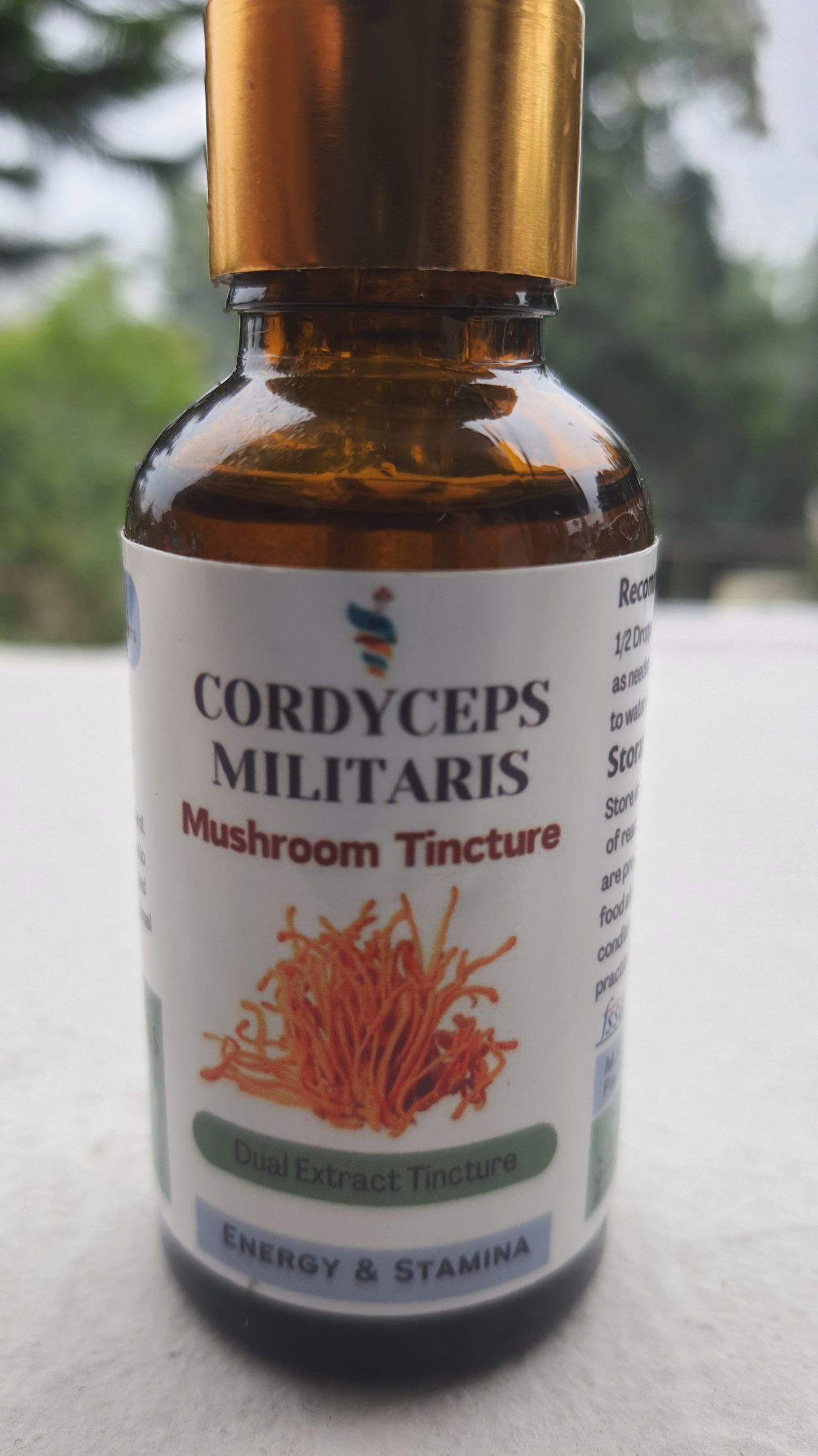 Cordyceps Mushroom Extract Tincture, Boosts Energy & Athletic Performance, 30ml Bottle, 60 Servings, Natural Supplement for Stamina and Endurance, Single Pack