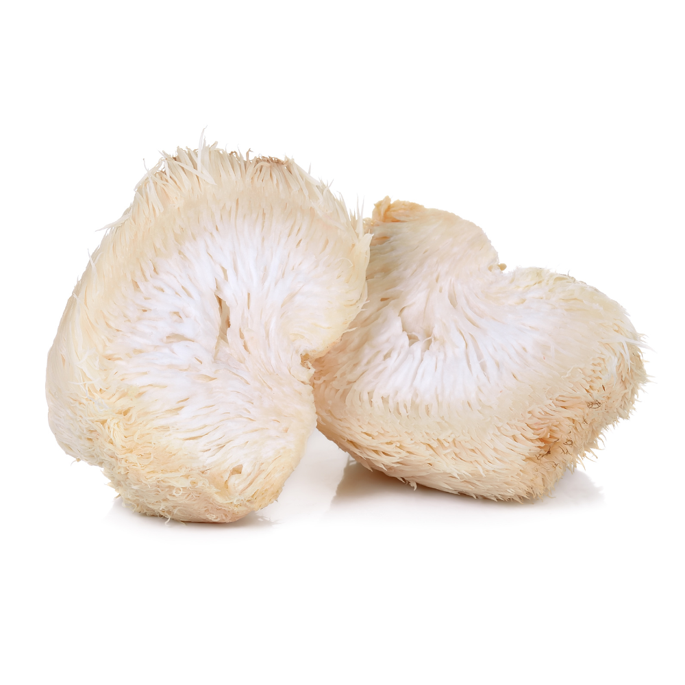 Lion's Mane Mushroom  Powder extract 50 gm
