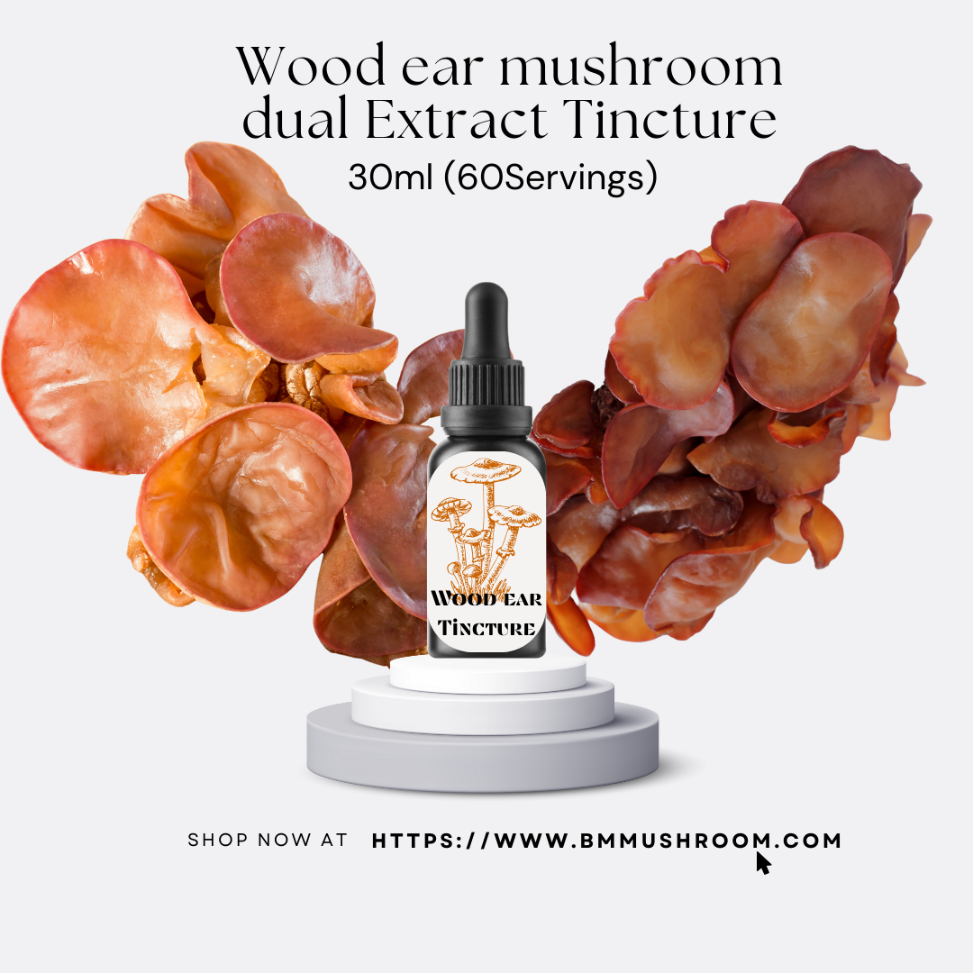 Wood Ear (Auricularia) Mushroom Extract Tincture, Supports Circulatory & Digestive Health, 30ml Bottle, 60 Servings, Natural Aid for Blood Flow and Gut Wellness, Single Pack