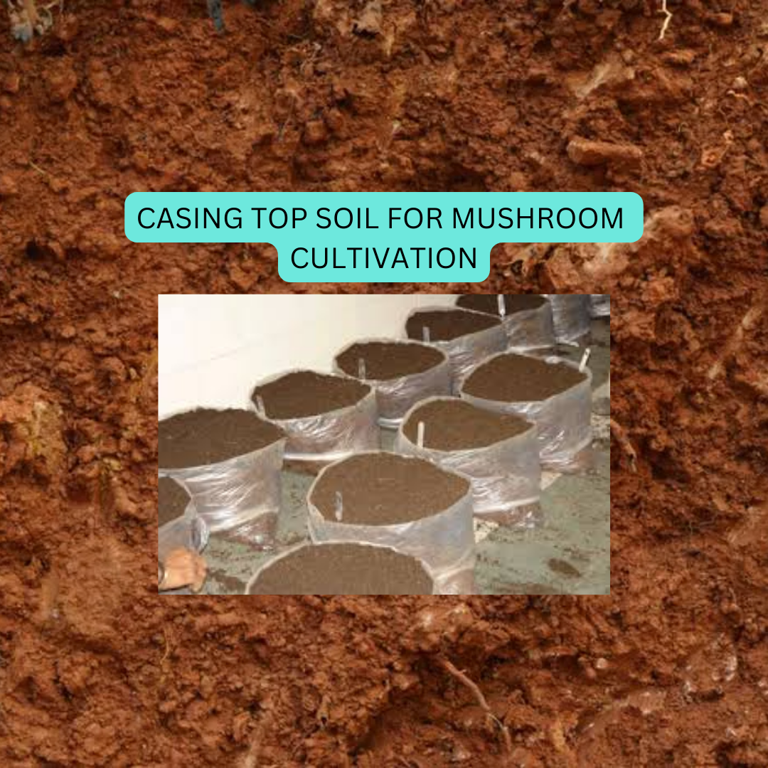 Mushroom Garden Casing Compost Soil || for Plants & Mushrooms 1kg