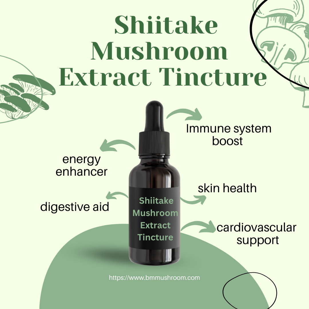 Shiitake Mushroom Extract Tincture, Enhances Immune Support & Overall Wellness, 30ml Bottle, 60 Servings, Natural Health Booster, Single Pack