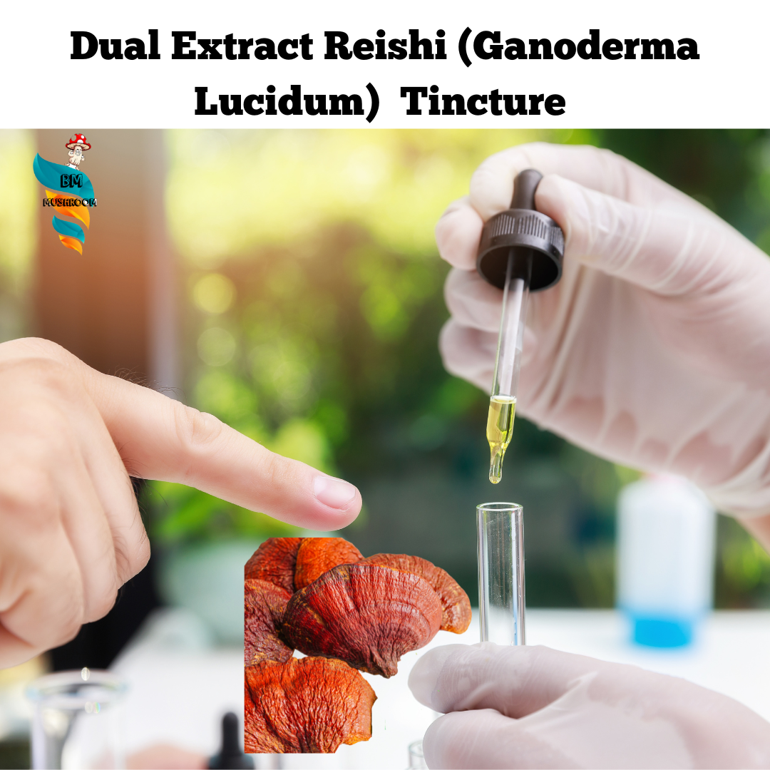 Reishi (Ganoderma Lucidum) Mushroom Extract Tincture, Promotes Relaxation & Immune Support, 30ml Bottle, 60 Servings, Natural Wellness Supplement, Single Pack