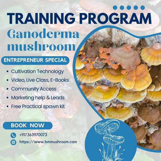 Training Course Reishi Mushroom (Ganoderma lucidum)