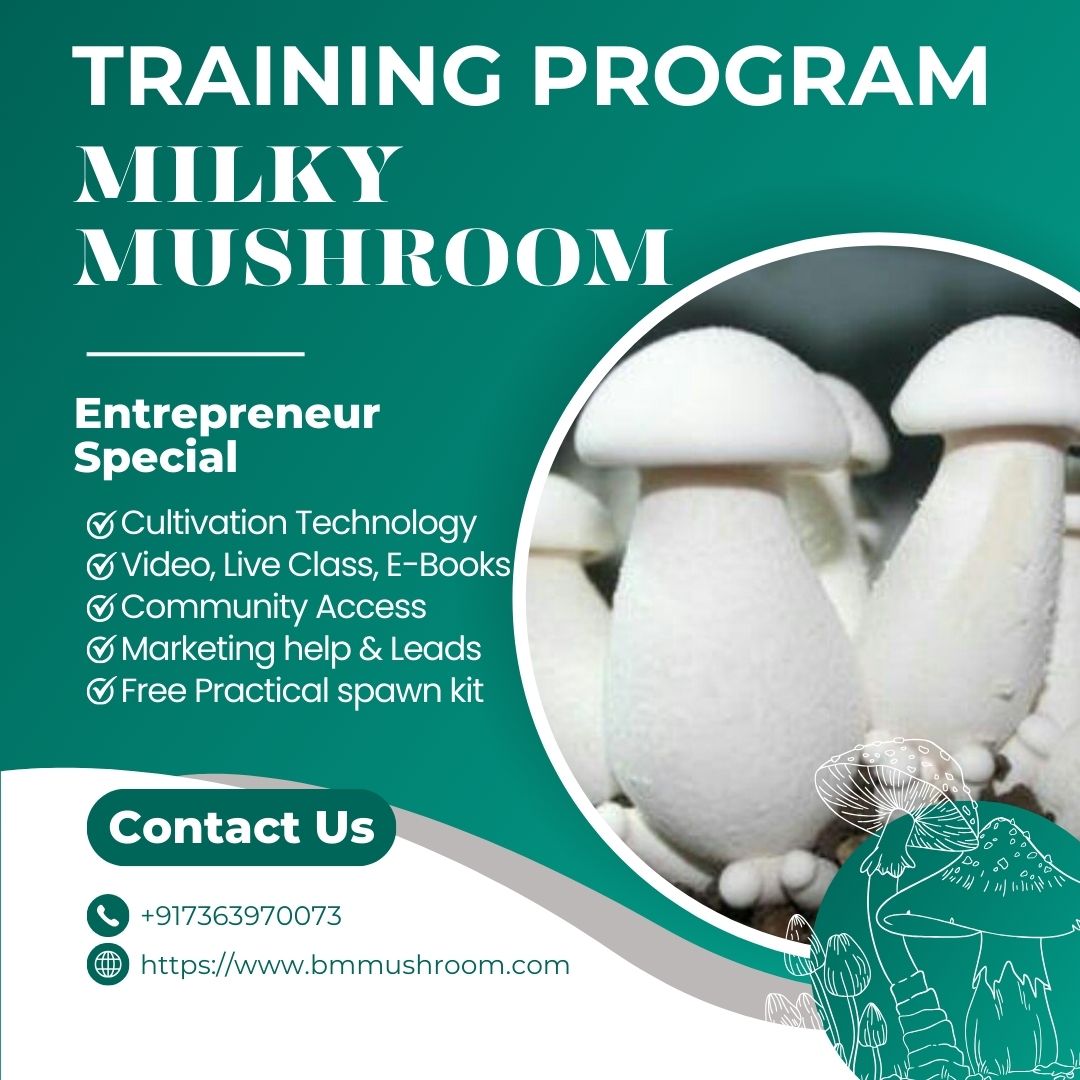 Milky  Mushroom ( Calocybe Indica) Training Course