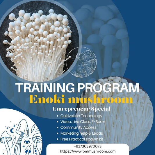Enoki mushroom cultivation training program (Flammulina velutipes)