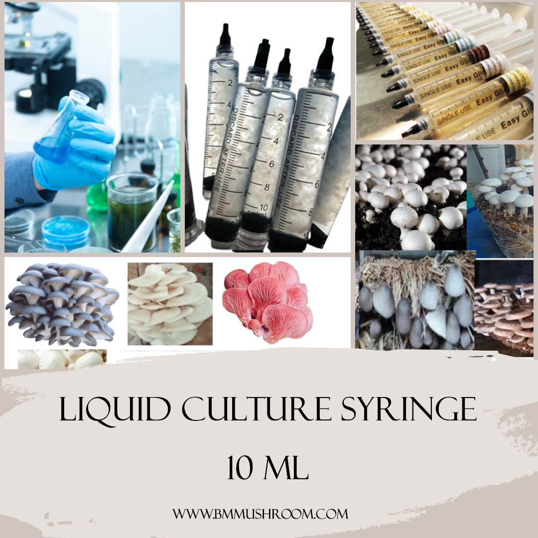 Liquid culture Syringe 10 ML (Mushroom Mycelium in Liquid Nutrient Media )