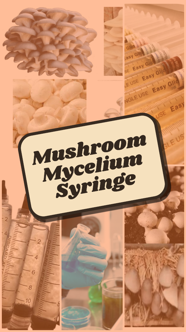 Liquid culture Syringe 10 ML (Mushroom Mycelium in Liquid Nutrient Media )