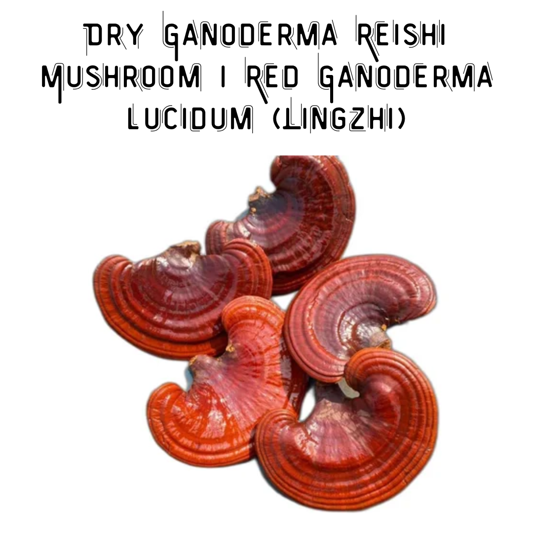 Ganoderma Red Dry Ganoderma Reishi Mushroom | Red Ganoderma Lucidum (Lingzhi) – BM ...