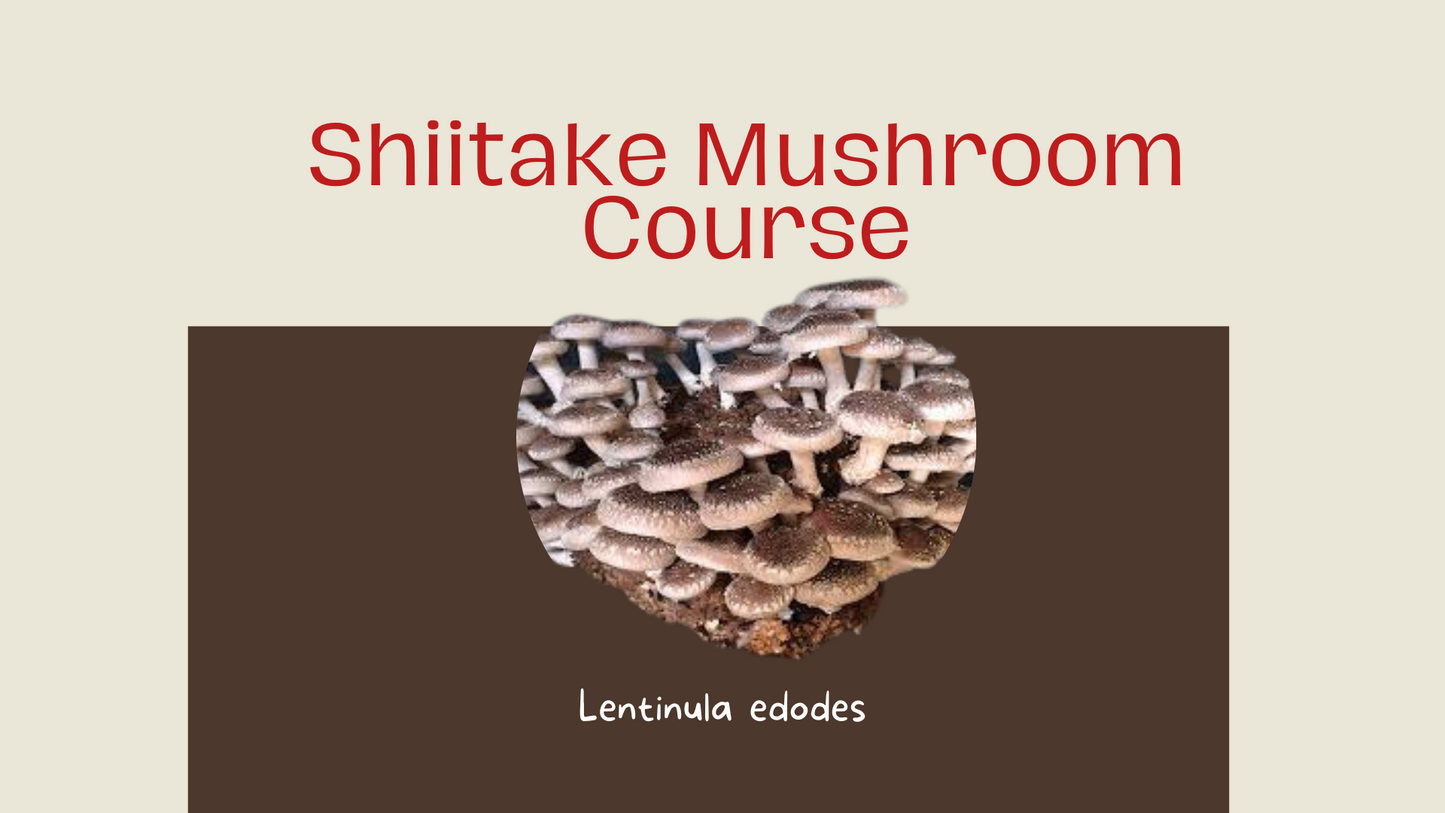Shiitake Mushroom Training Course