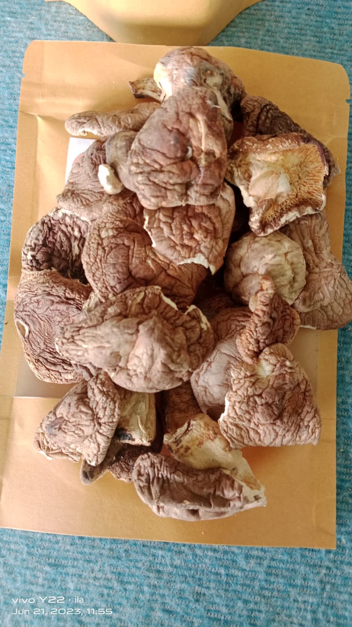 Dry Shiitake Mushrooms | Rich in Flavor and Nutrients 100 gm