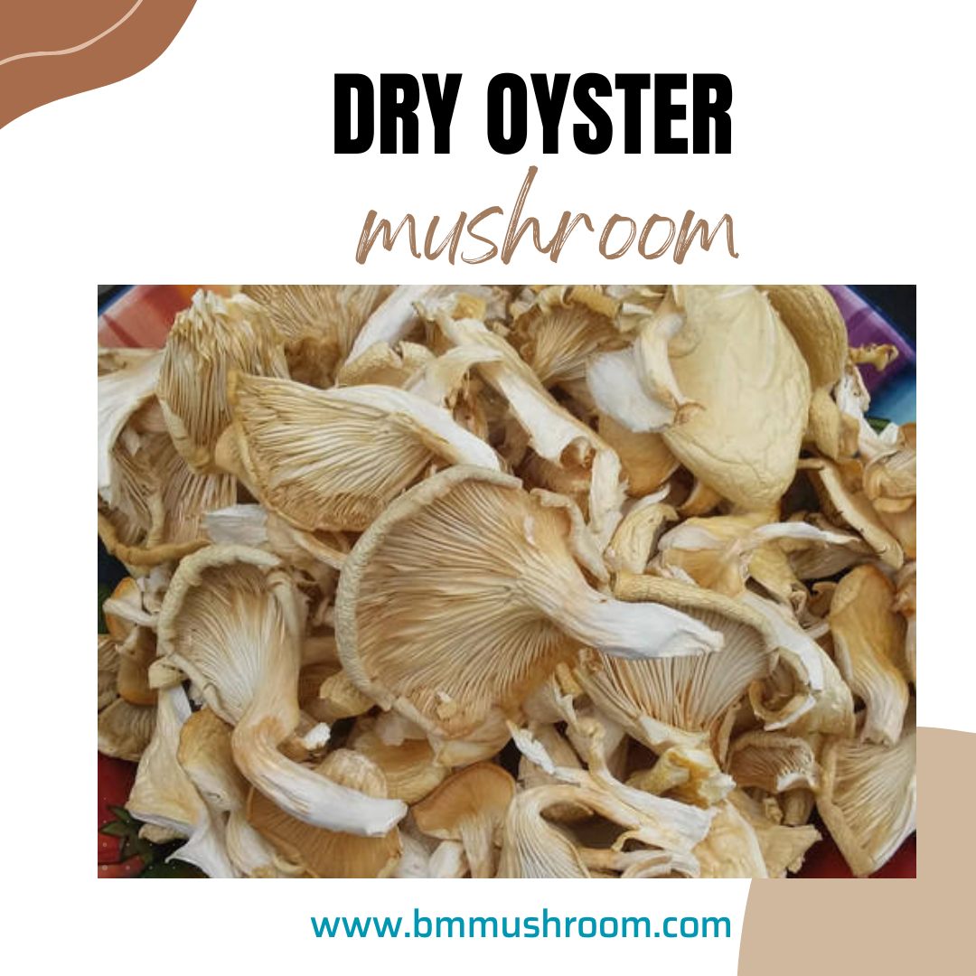 High-Quality A-Grade Dry Oyster Mushrooms | Pleurotus ostreatus | Nutrient-Rich 100 gm