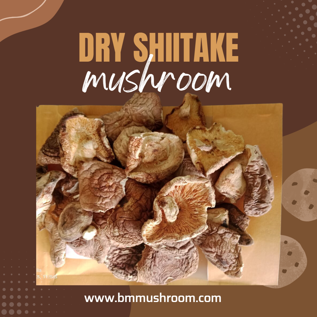 Dry Shiitake Mushrooms | Rich in Flavor and Nutrients 100 gm