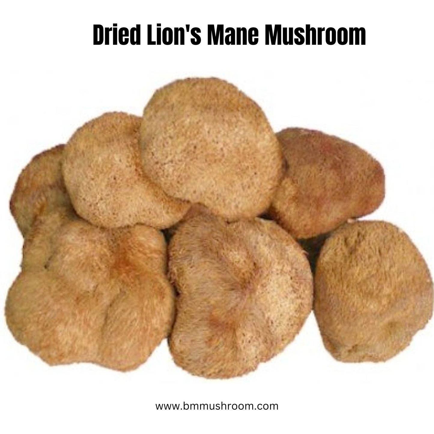 Dried Lion's Mane Mushroom 50 gm