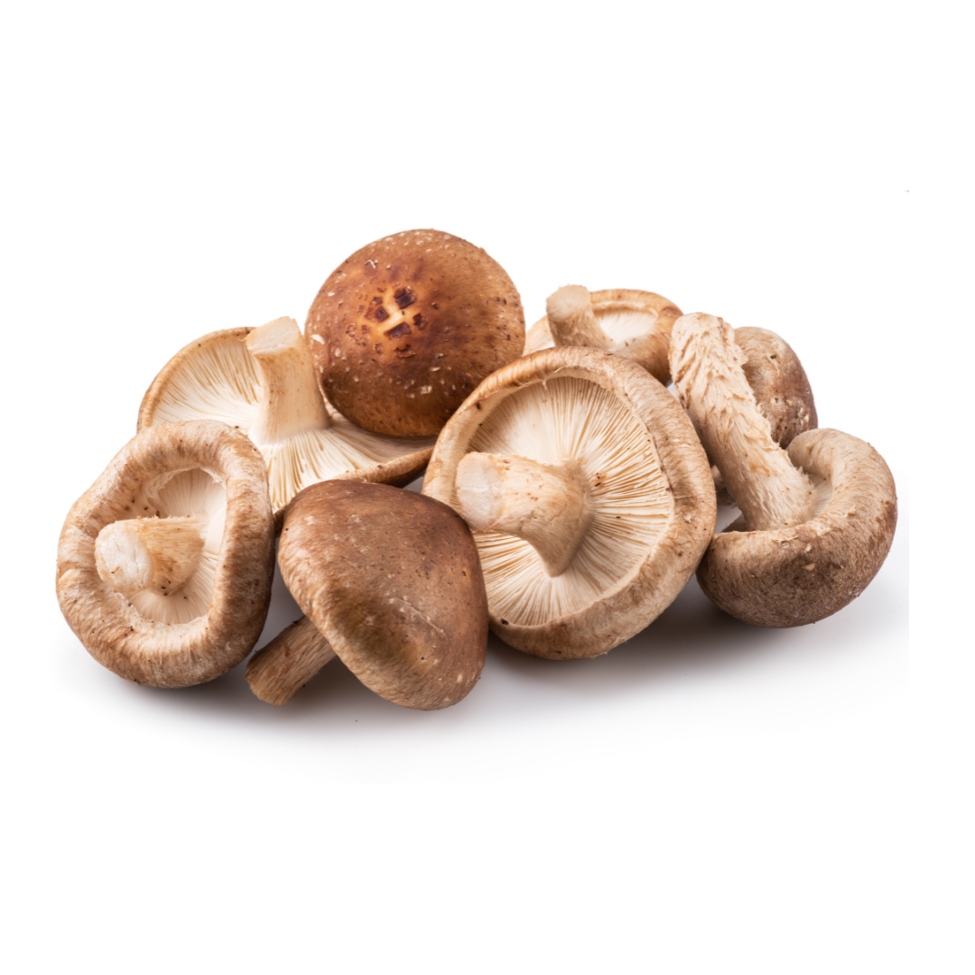 Pure Shiitake Mushroom Powder extract | Rich in Flavor and Nutrients 100 gm