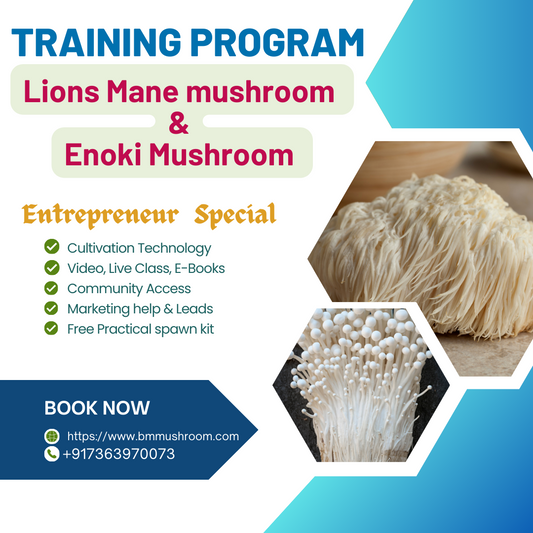 Combo  Lion's Mane & Enoki Mushroom Training Course