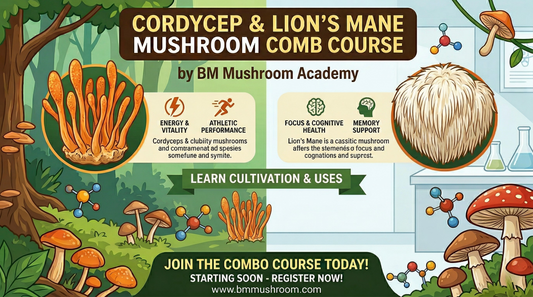 Combo Lion's Mane & Cordycep Mushroom Training Course
