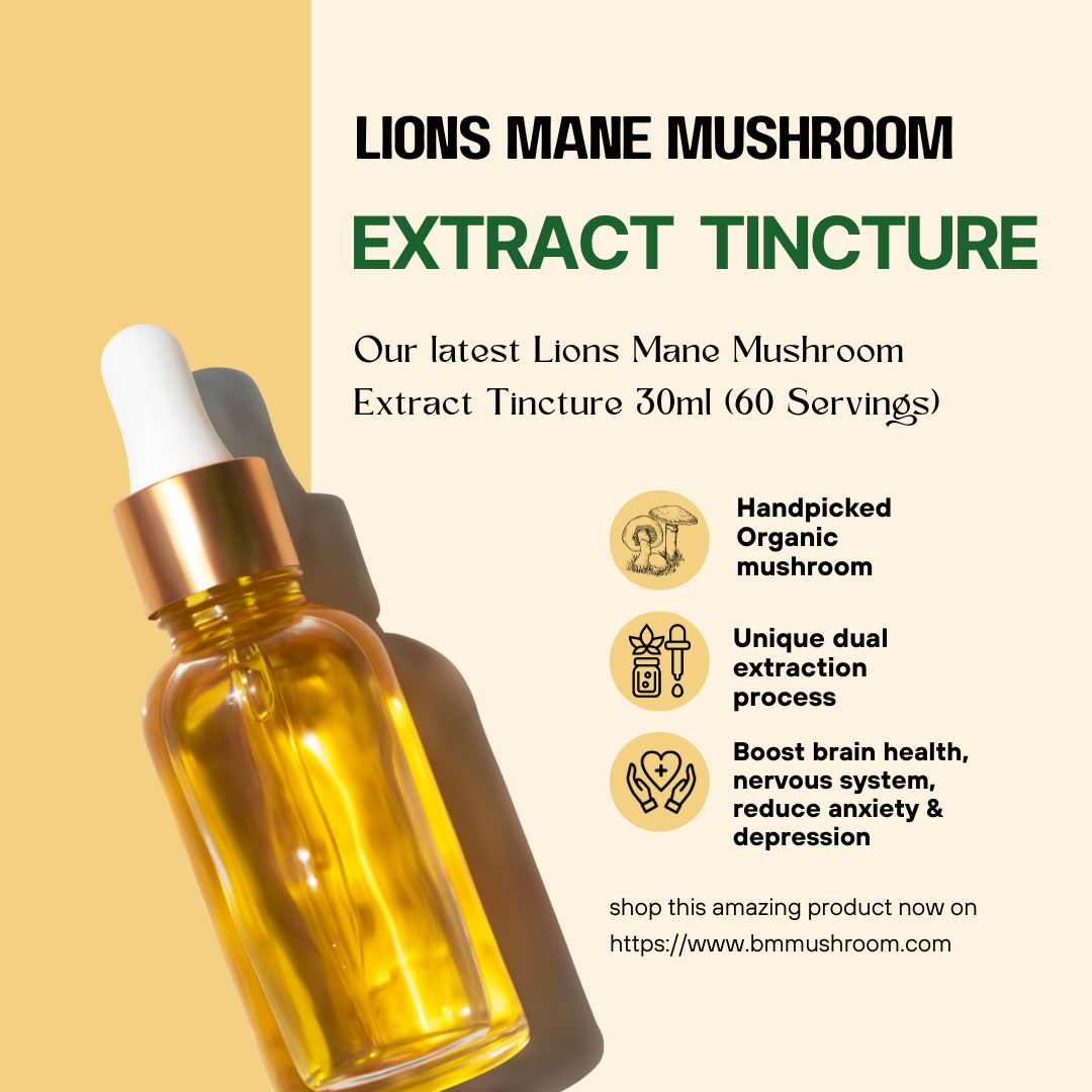 Lion's Mane Mushroom Extract Tincture, Enhances Cognitive & Nerve Health, 30ml Bottle, 60 Servings, Ideal for Focus and Brain Support, Single Pack