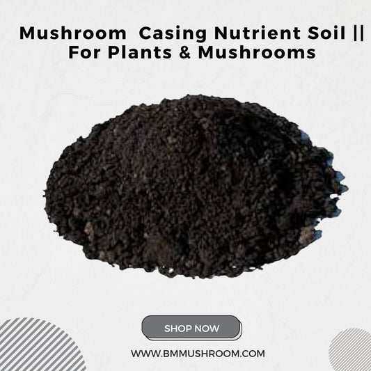 Mushroom Garden Casing Compost Soil || for Plants & Mushrooms 1kg