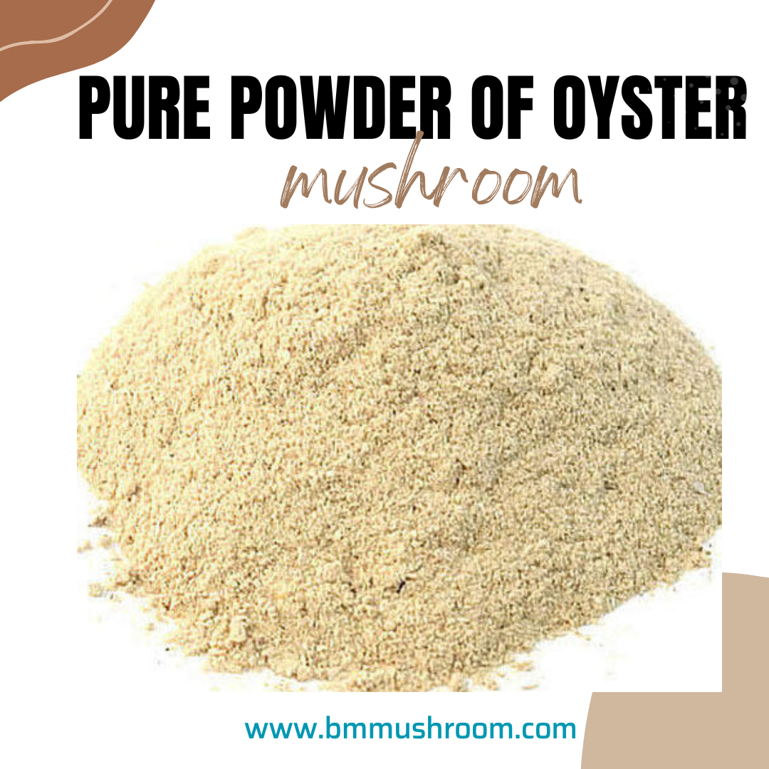 Oyster Mushroom Powder 100 gm