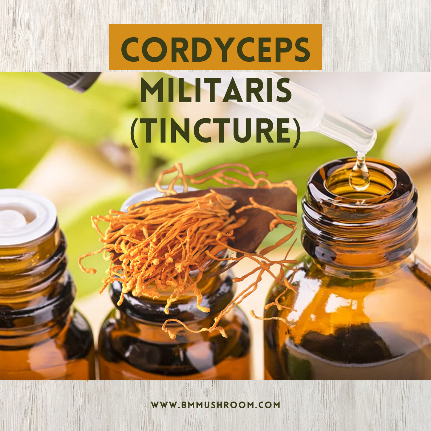 Cordyceps Mushroom Extract Tincture 30ml (60 Servings)