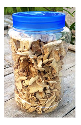 High-Quality A-Grade Dry Oyster Mushrooms | Pleurotus ostreatus | Nutrient-Rich 100 gm