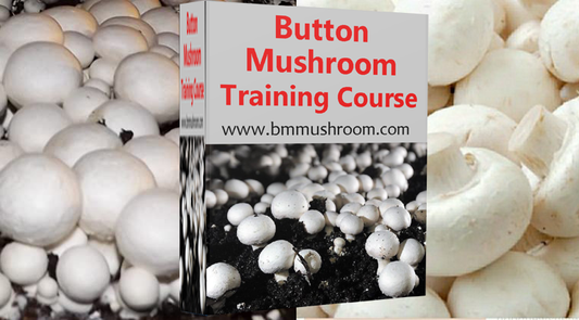 Button Mushroom Training Course