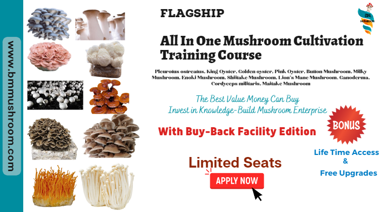 All In One Flagship Course On Mushroom Cultivation ( All Varieties of Mushrooms )