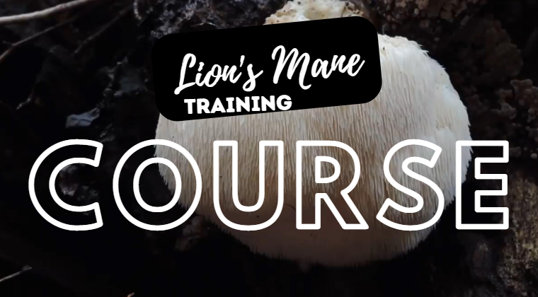 Lion's Mane (Hericium erinaceus ) Training Course-
