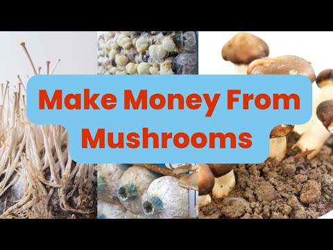 Button Mushroom Training Course
