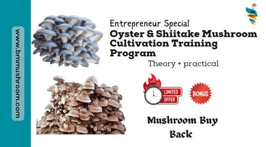 Entrepreneur Special* Oyster & Shiitake Mushroom Cultivation Training Program